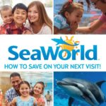 SeaWorld Pricing Guide: How to Save on Your Next Visit!