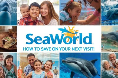 SeaWorld Pricing Guide: How to Save on Your Next Visit!